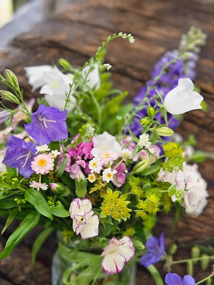 San De Fuca Wildflowers
