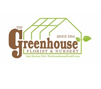 Party Animal Bouquet with Mylar