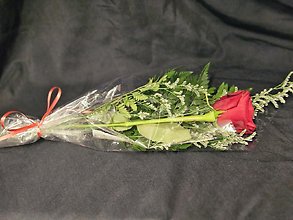 Single Roses Wrapped Bulk Buy