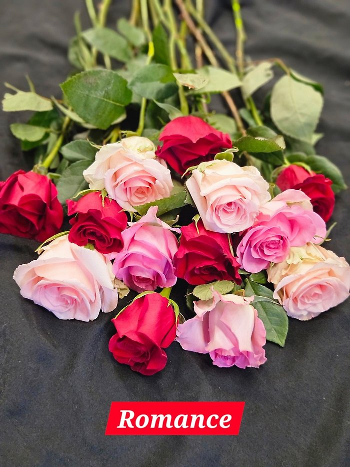 The Greenhouse\'s Rose Color Combos