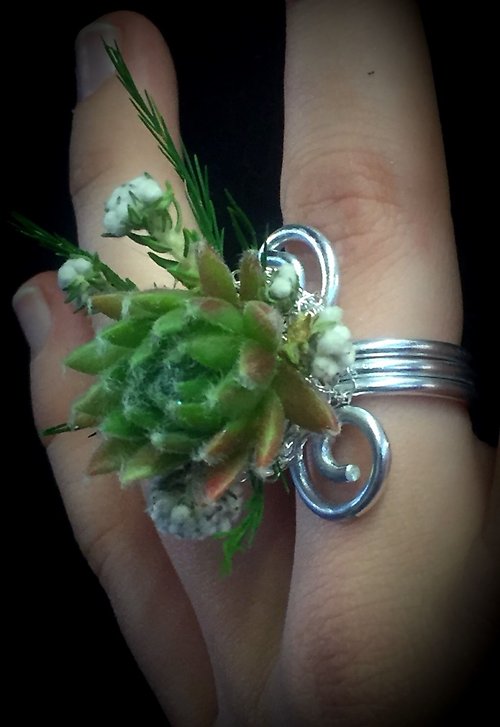 Sedum Ring