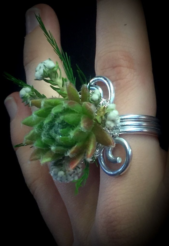 Sedum Ring