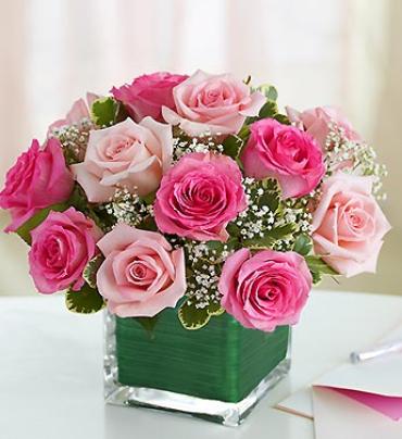 Pink Passion