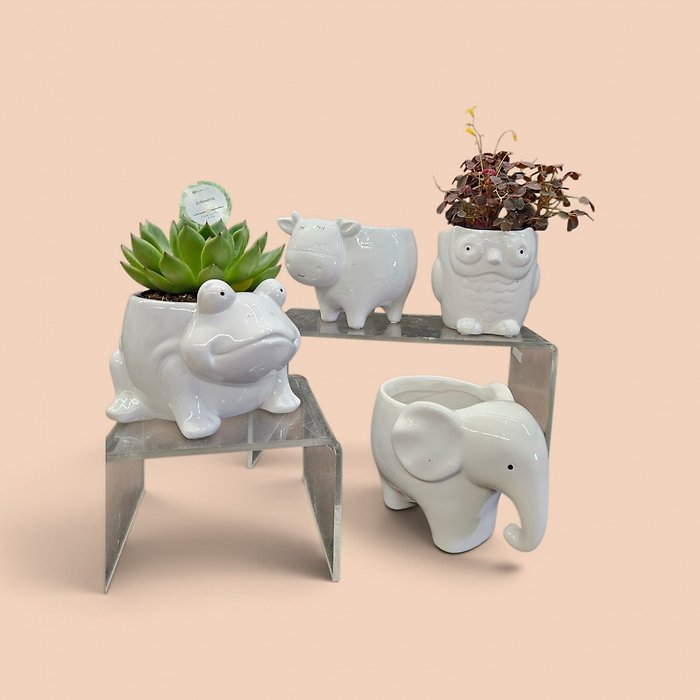 Cute Critter Potted Plant
