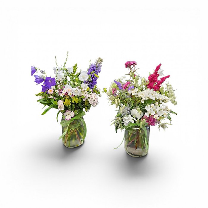 San De Fuca Wildflowers