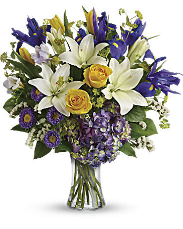 Floral Spring Iris
