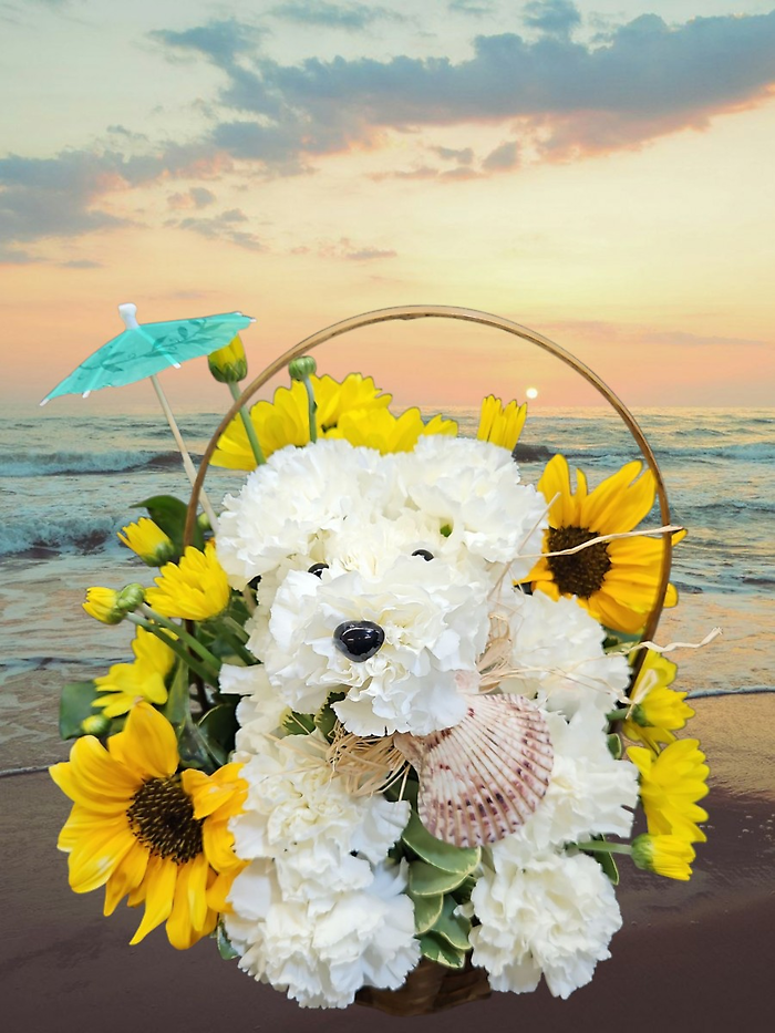 Sunshine Pup on the Beach