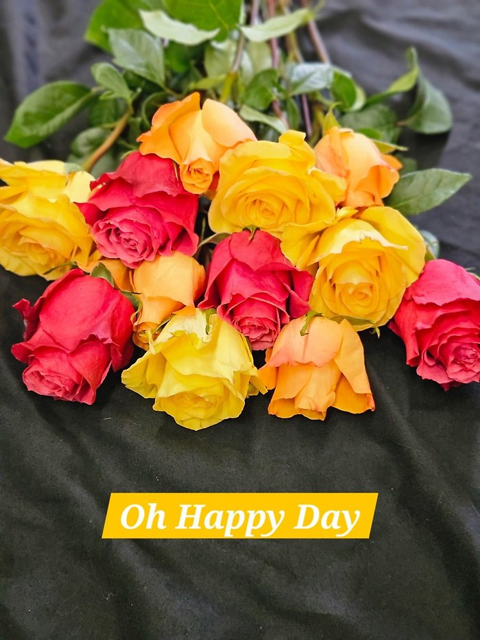 The Greenhouse\'s Rose Color Combos