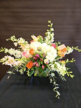 Custom Design Bright Pastels