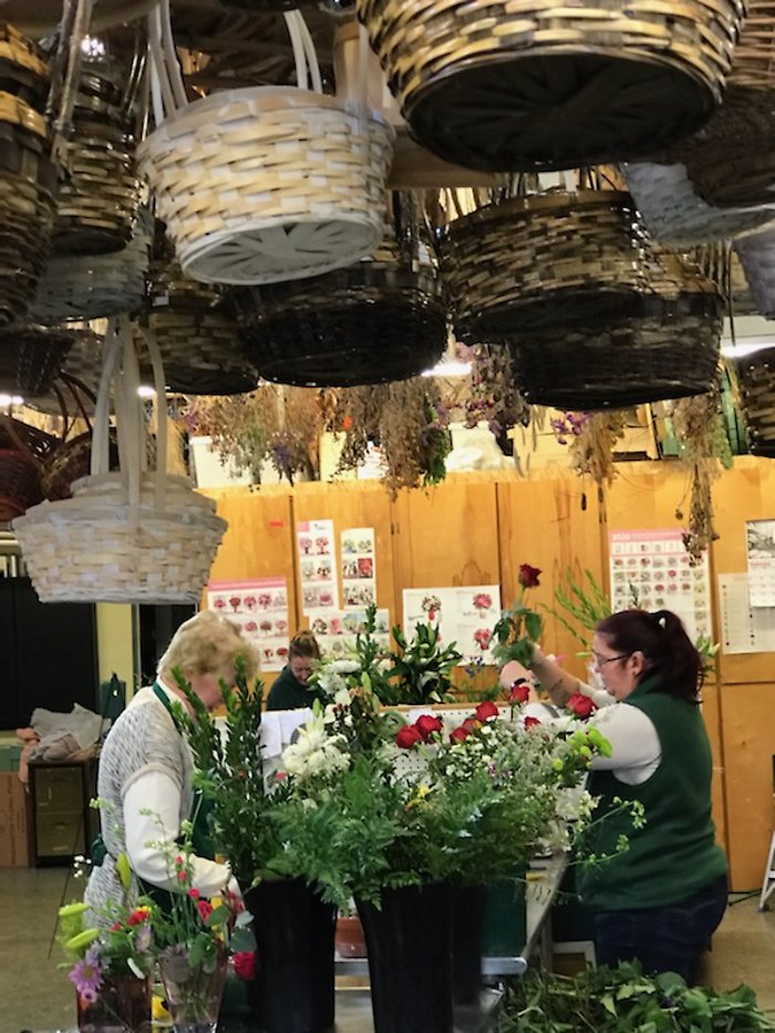 Like Mother Like Daughters