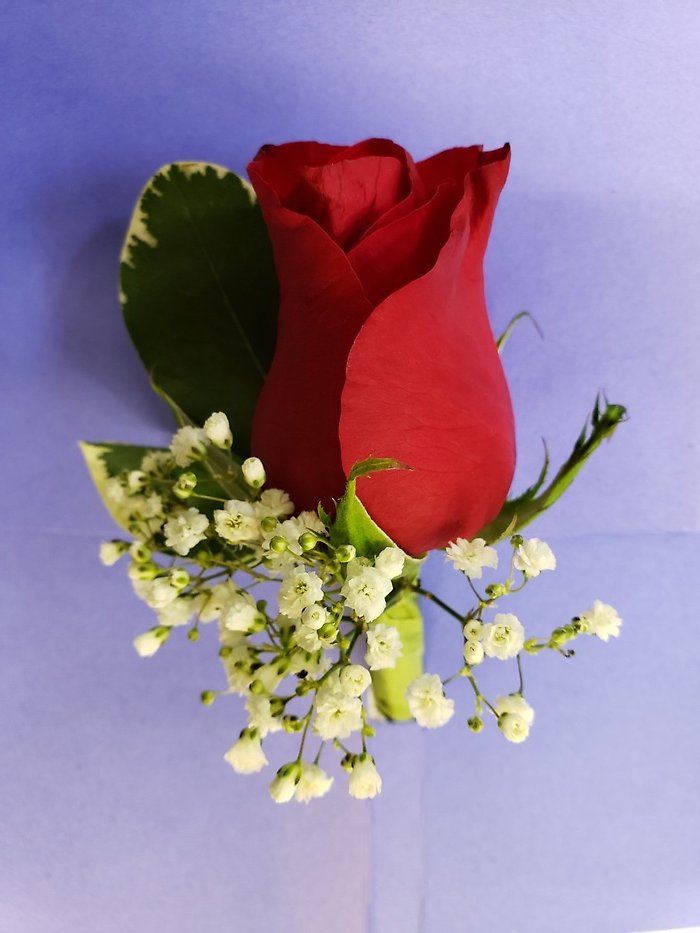 Red Rose Boutonniere