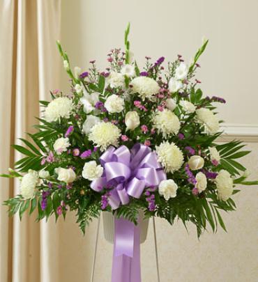 Lavender and White Sympathy