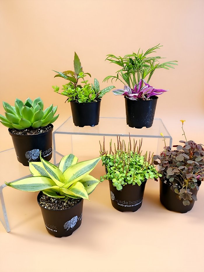 Cute Critter Potted Plant