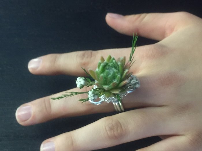 Sedum Ring