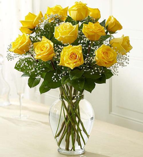 Rose Elegance Dozen Yellow Roses