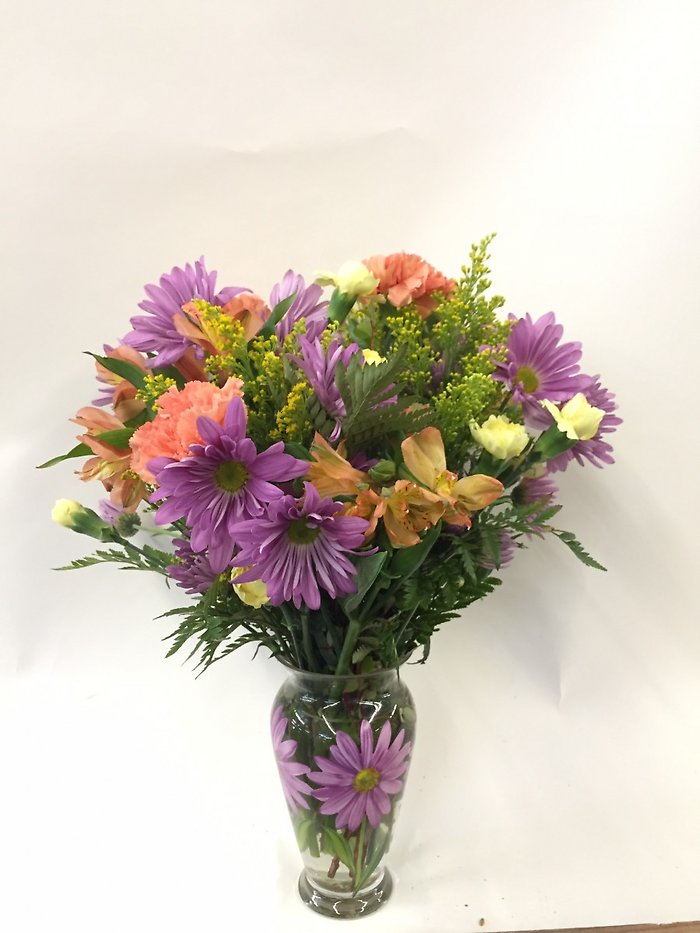 Spring Daisy