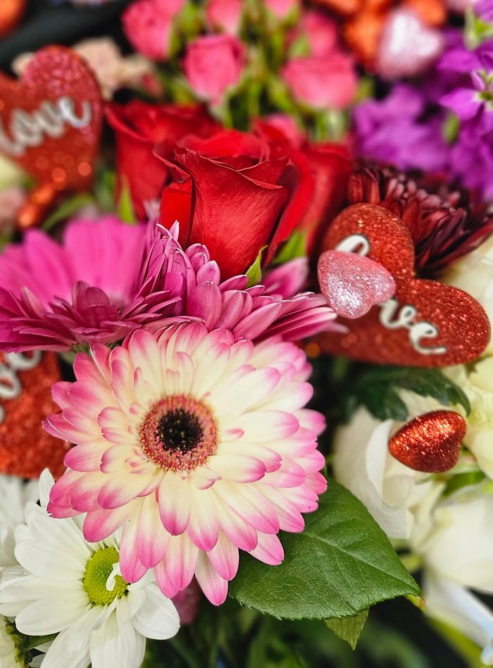 Designer\'s Choice Valentine