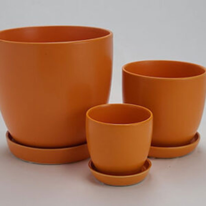 Custom Potted Plant