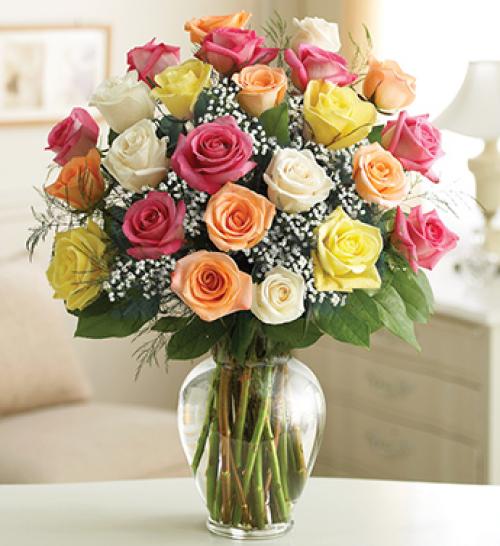 Two Dozen Long Stem Assorted Roses