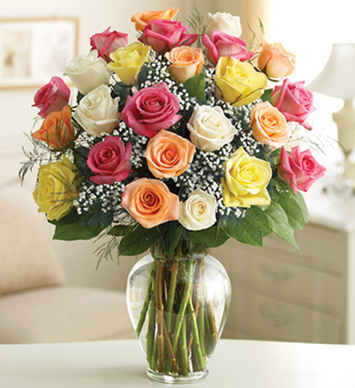 Two Dozen Long Stem Assorted Roses