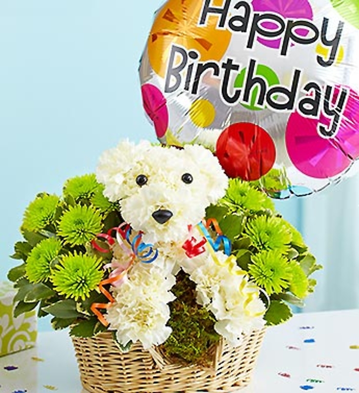 Party Animal Bouquet with Mylar