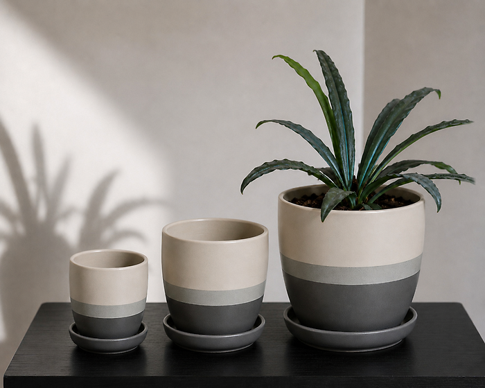 Custom Potted Plant