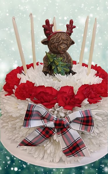 Highland Cow Holiday Flower Cake