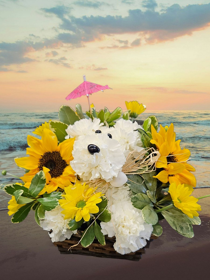 Sunshine Pup on the Beach