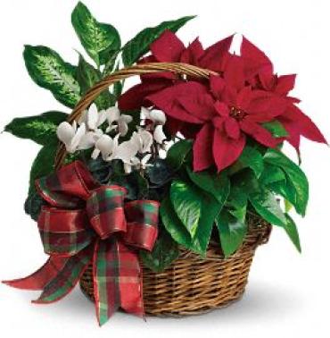 Holiday Homecoming Basket