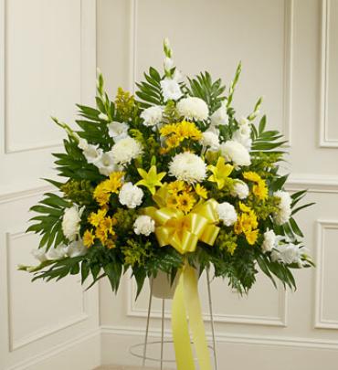 Yellow and White Sympathy