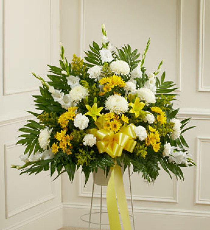 Yellow and White Sympathy