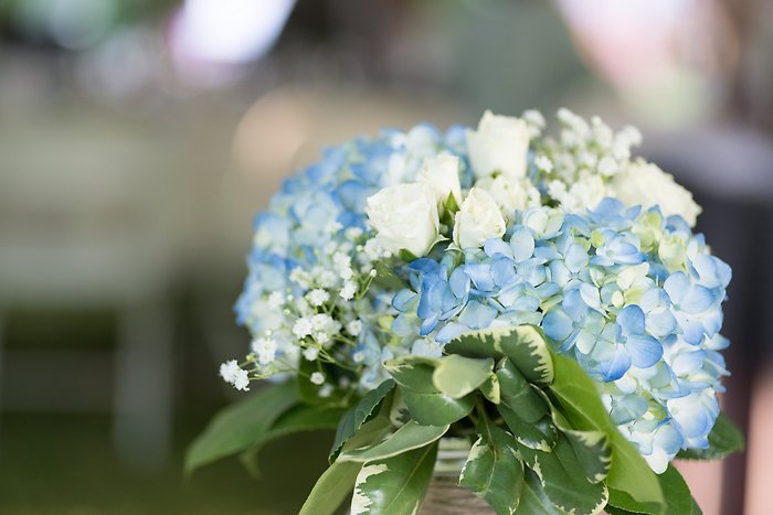 Blue Hydrangea Mason Jar Arrangement Pic bt JMost Photography