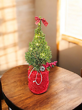 Lighted Tabletop Evergreen