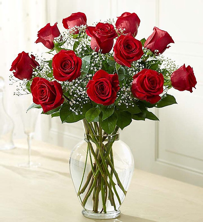Rose Elegance 1 Dozen Red Roses