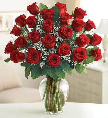 Two Dozen Premium Long Stem Red Roses