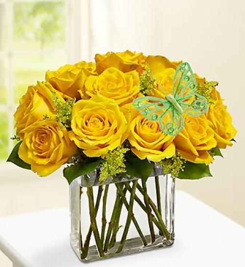 Modern Roses with butterfly- One Dozen Yellow