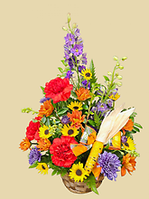 Summer\'s End