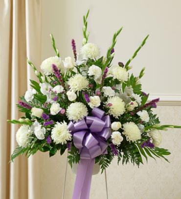 Lavender and White Sympathy