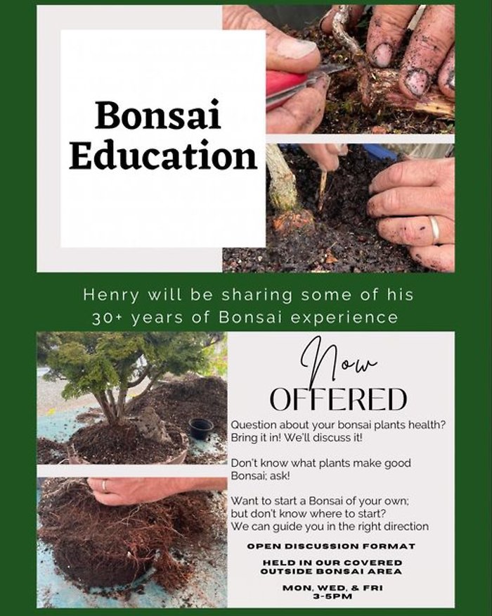 Bonsai Class