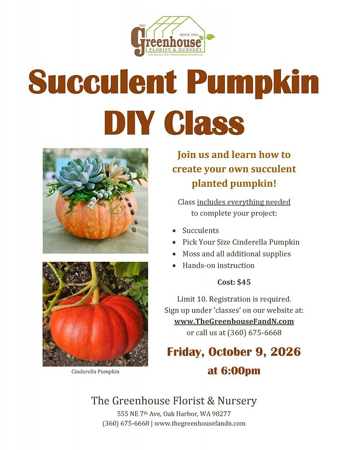 Succulent Pumpkin DIY Class